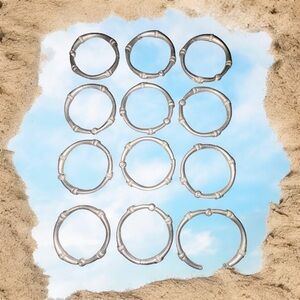 Zenna home Shower Rings Set decorative rustproof Brushed Nickel (12 Pieces)